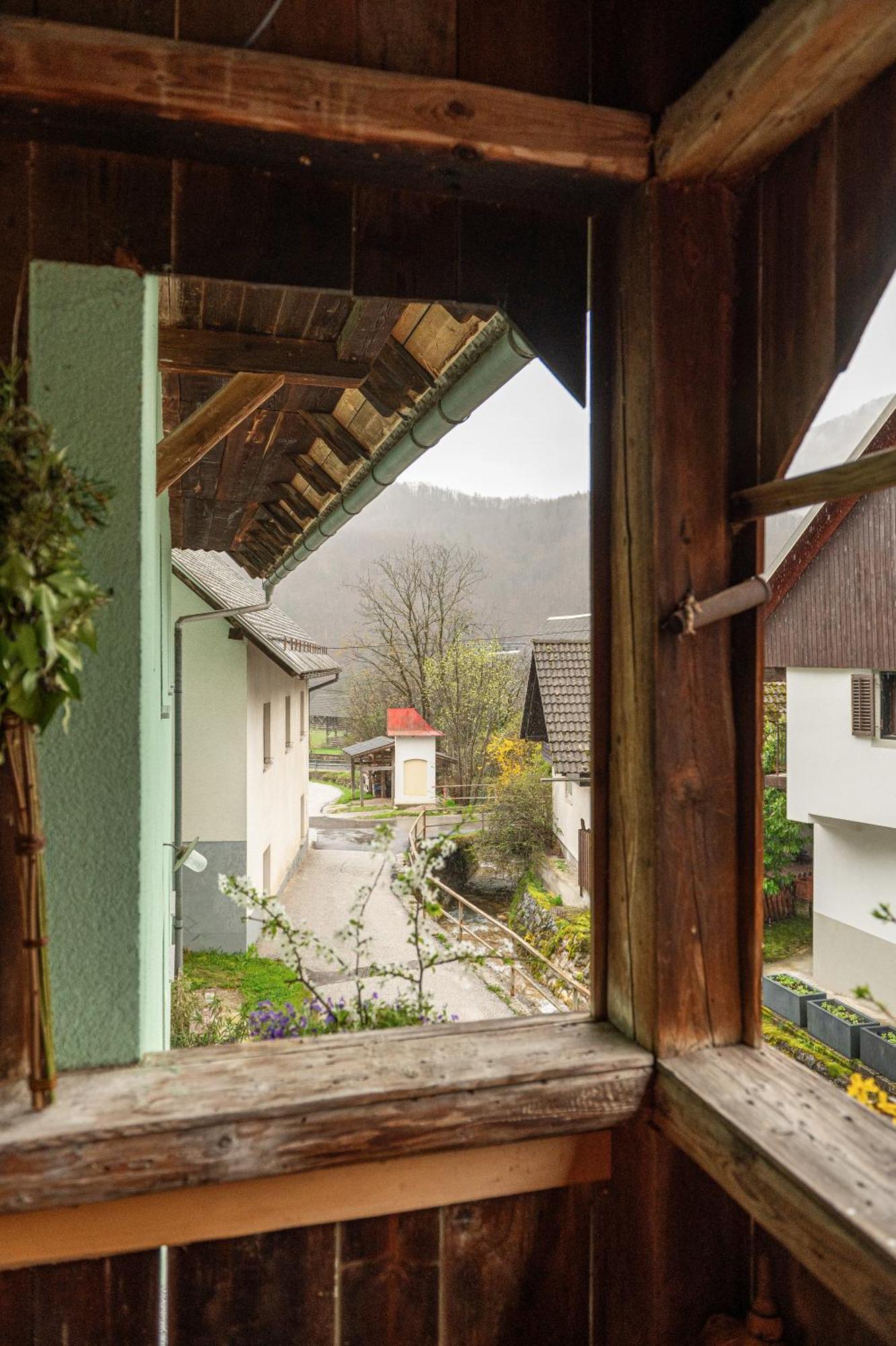 Apartmán Zelena Hisa Pri Bjov Bohinjska Bela Exteriér fotografie