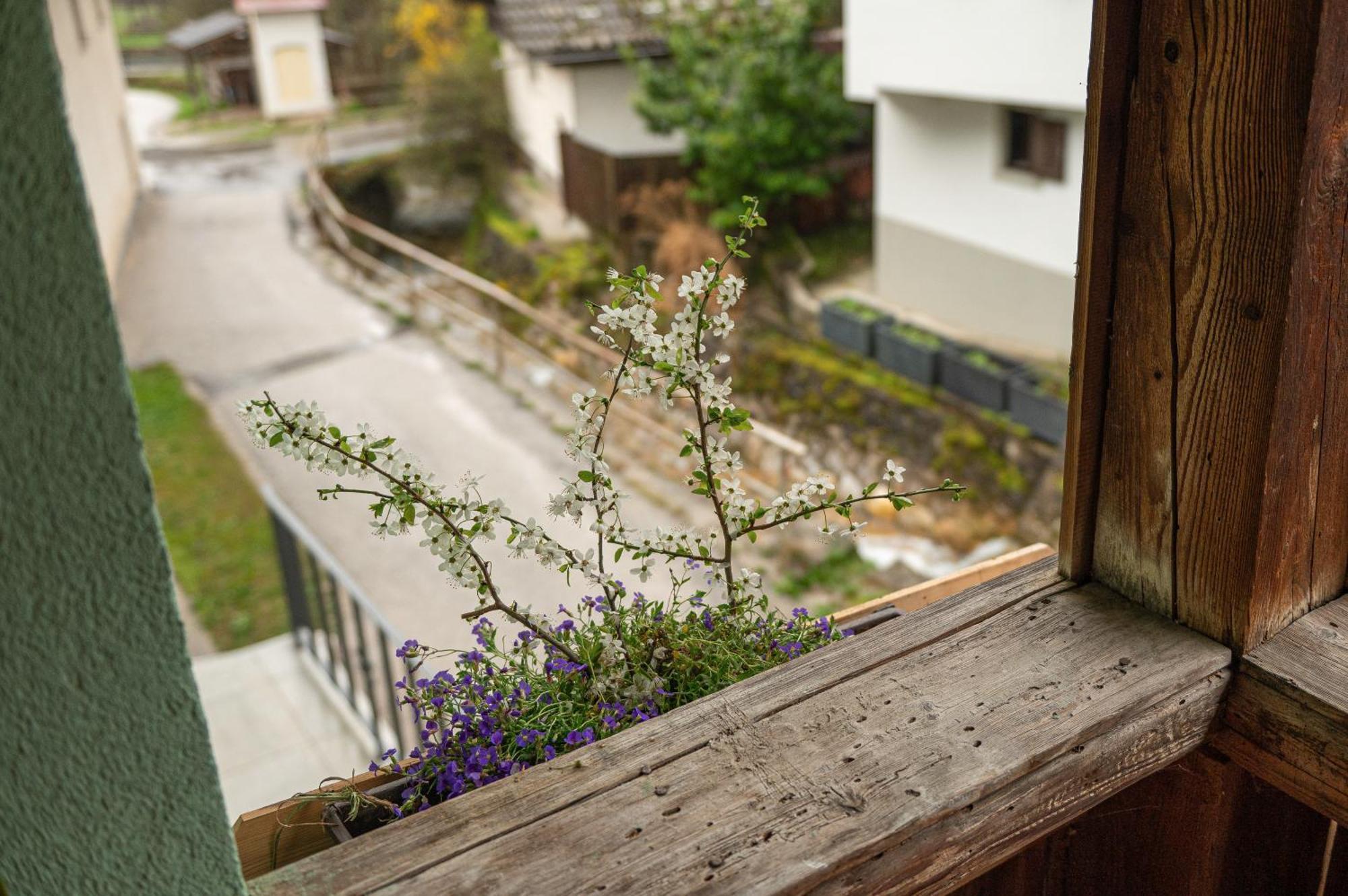 Apartmán Zelena Hisa Pri Bjov Bohinjska Bela Exteriér fotografie