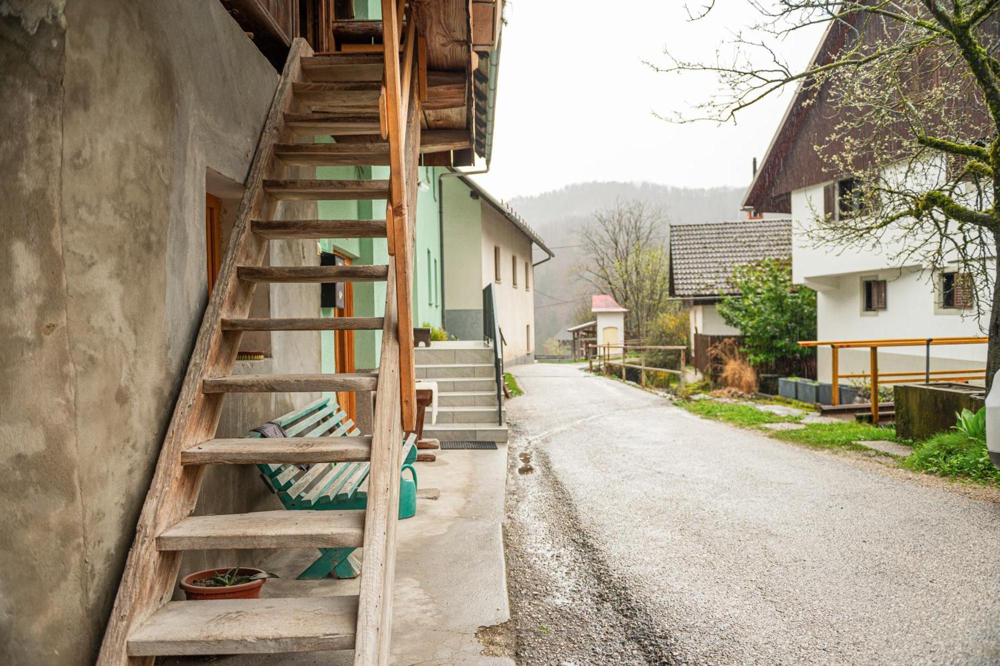Apartmán Zelena Hisa Pri Bjov Bohinjska Bela Exteriér fotografie
