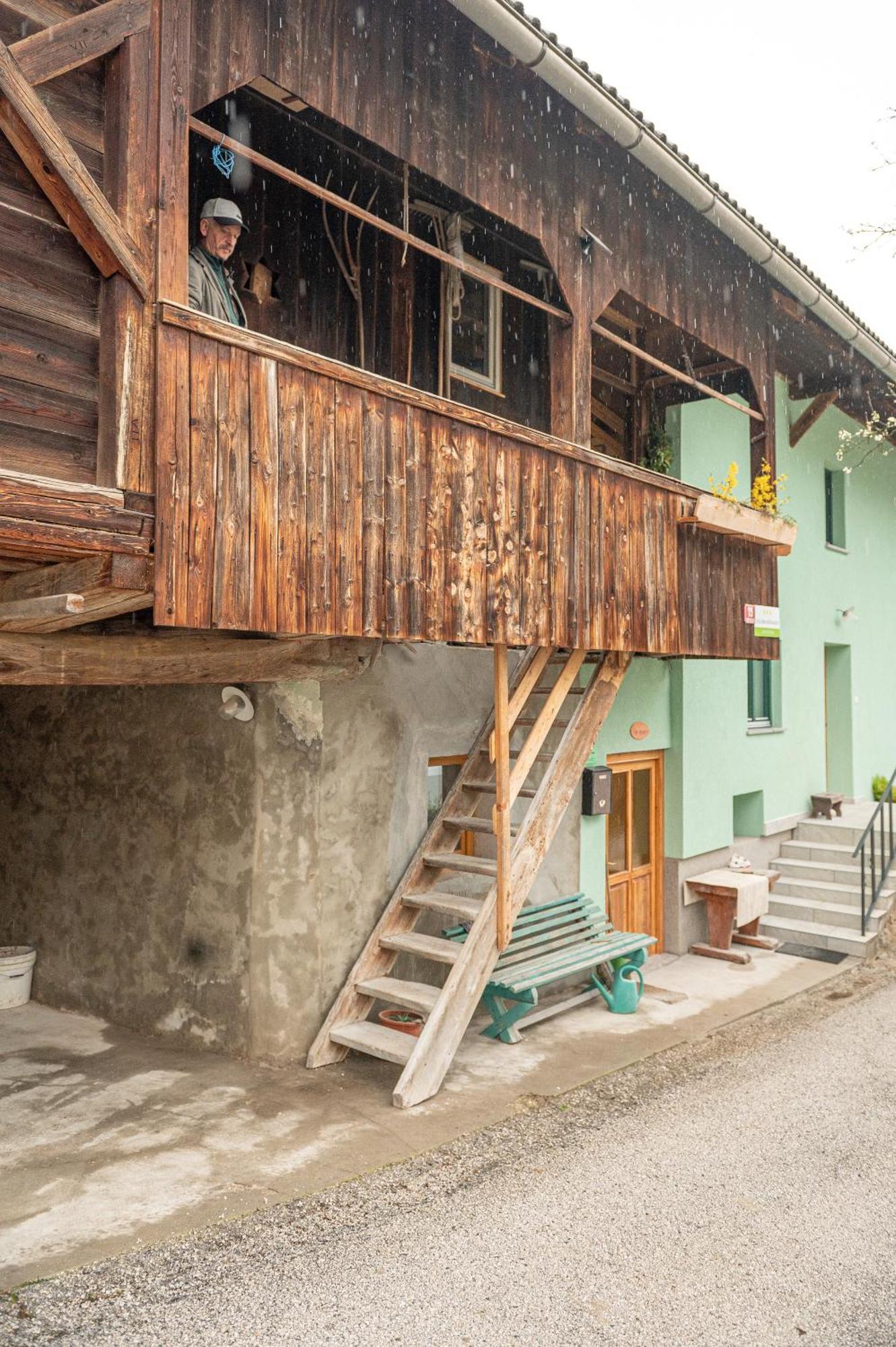 Apartmán Zelena Hisa Pri Bjov Bohinjska Bela Exteriér fotografie