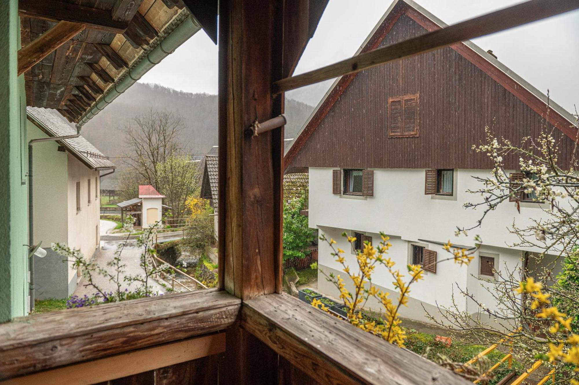 Apartmán Zelena Hisa Pri Bjov Bohinjska Bela Exteriér fotografie